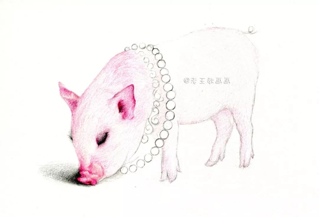猪年画猪,猪年怎么画