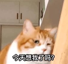 今天扒叔要说一位男星的瓜哦