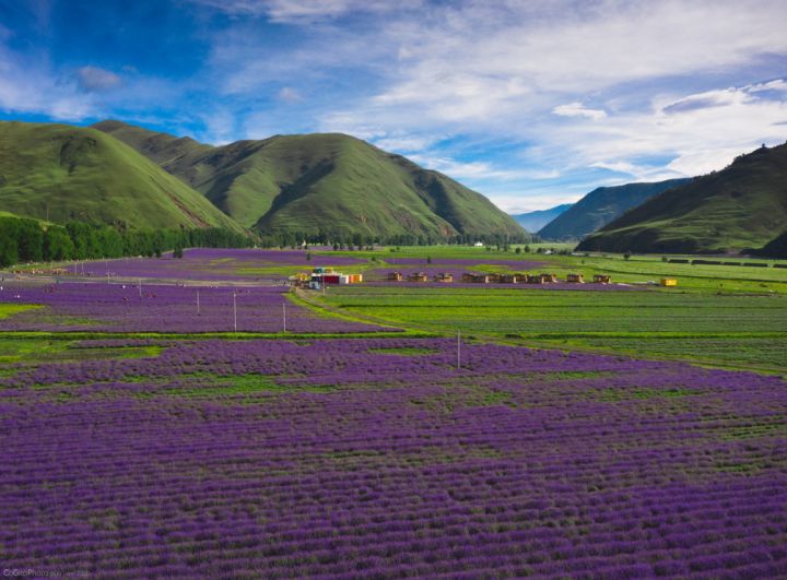 西藏和西北旅游攻略,来藏旅游攻略必看