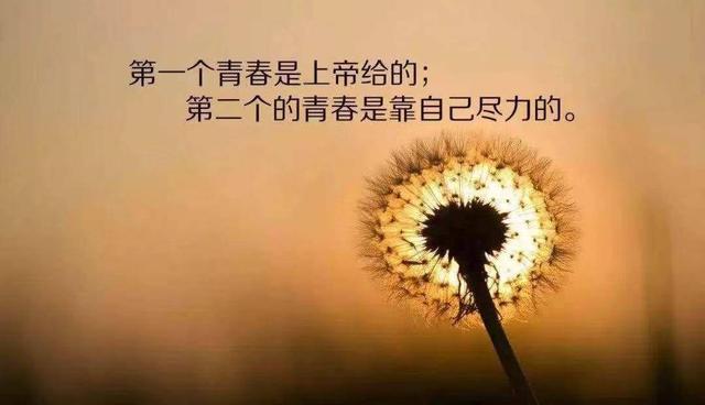 朋友圈最精辟走心的人生格言,2018最走心句子句句精辟入骨