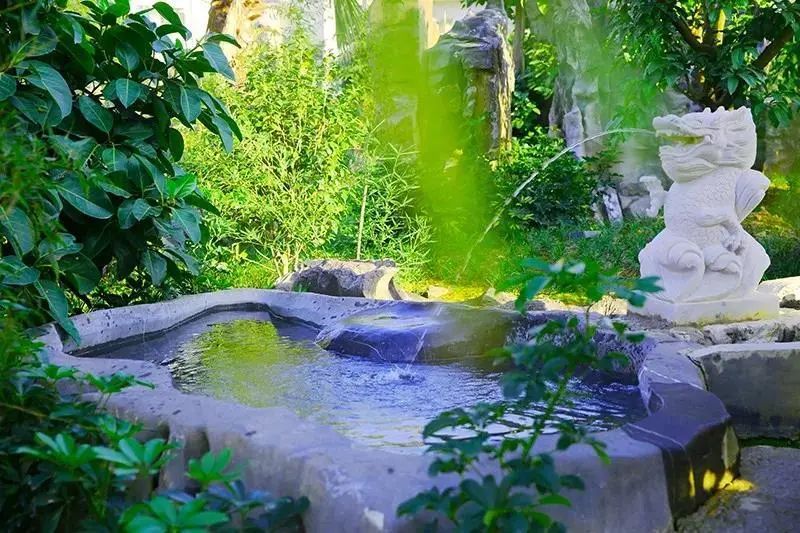 仙人街景区赏花攻略,吉尼斯打卡仙人街