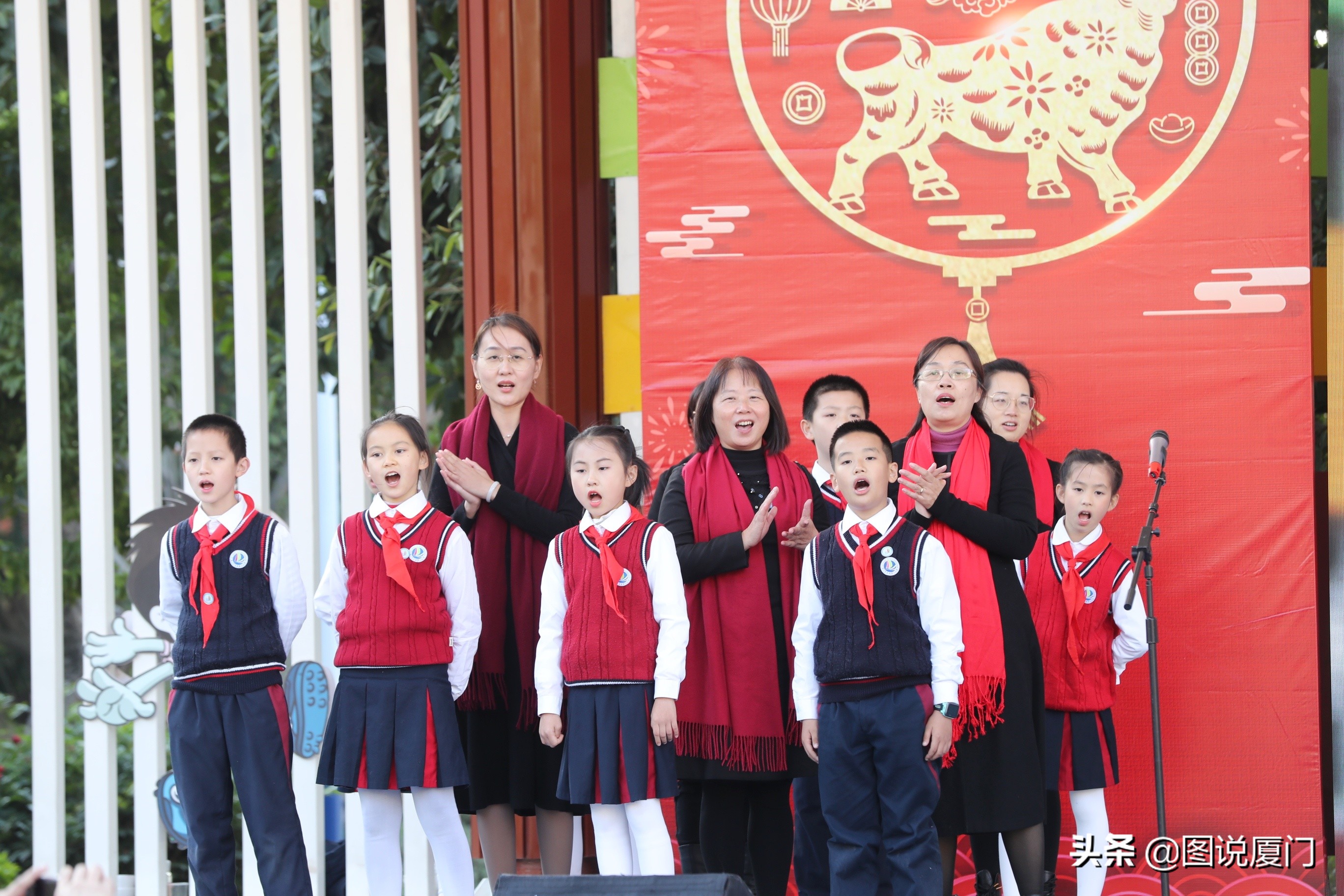 东渡二小凤凰花开,厦门市东渡小学2017年长什么样