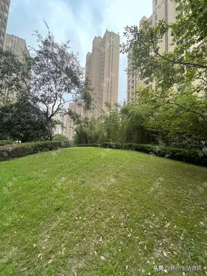 夜探豪宅真实视频,夜探楼盘