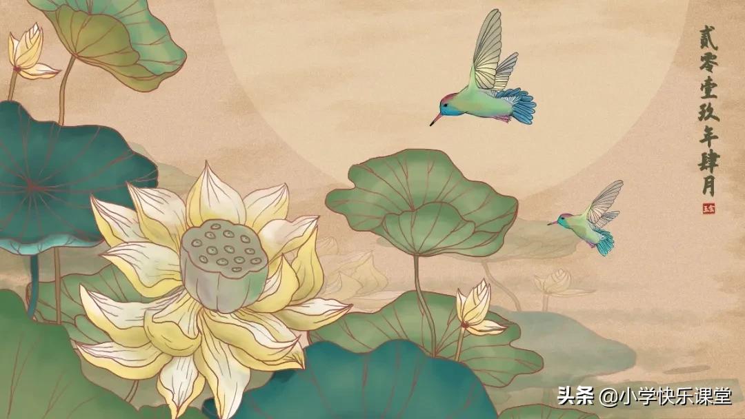 描写荷花的作文300字三年级的,摘抄课文荷花的好词好句