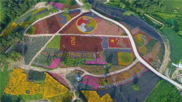 22℃的夏天丨河灯初上夜未央，花海骄艳扑鼻香，这就是富江