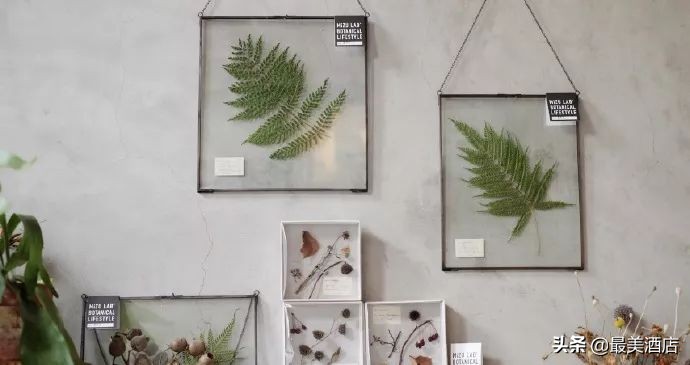 她放弃了总监职位后续,她辞去总监回家扶贫全集