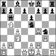 阿洛尼昂访谈录（二）职业生涯