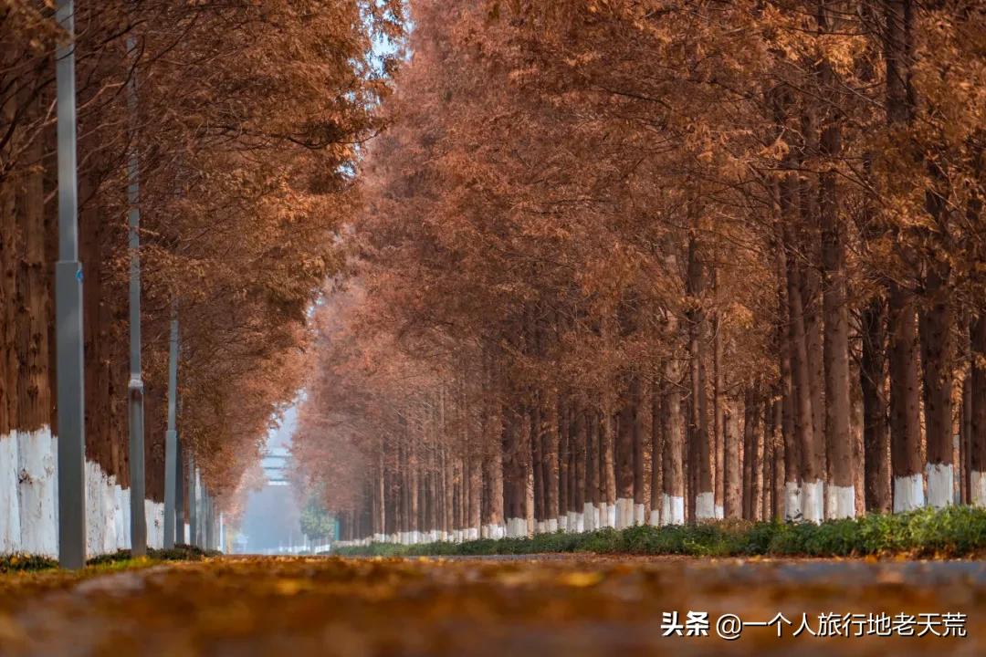 江苏这个“快乐”的城市,颜值不输苏杭,连苏东坡都在这养老