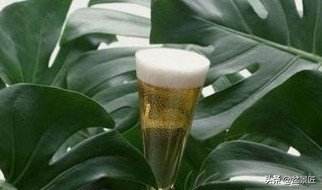 花店养花步骤和技巧图片,最全的养花宝典不会养花的来看看