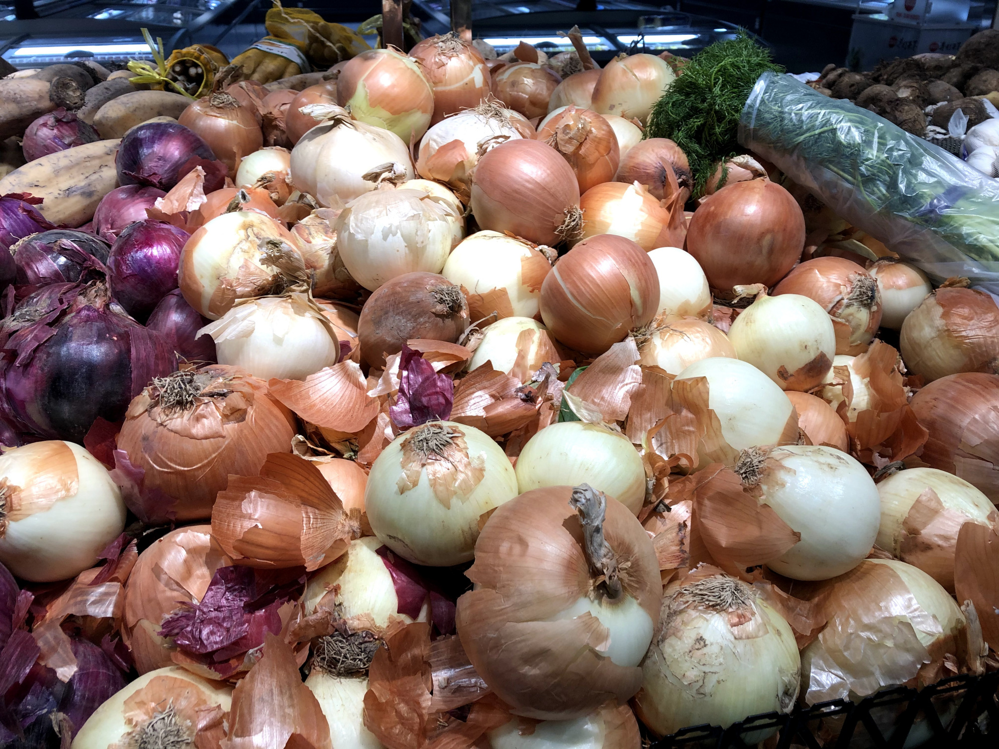 紫皮洋葱和黄皮哪种好,买洋葱是圆的好还是扁的好