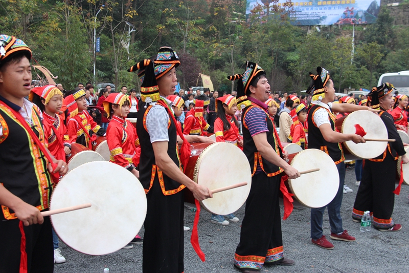 1996年莽山烙铁头蛇,莽山烙铁头被盗事件