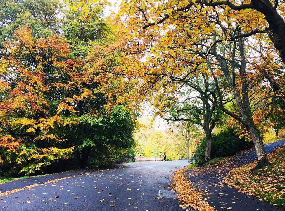 伦敦威斯敏斯特大学,威斯敏斯特大学