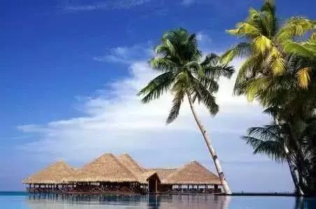 中国31省市实力排前五的大学最全盘点！火速存档！