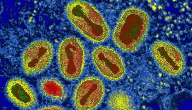 自然之怒,自然之怒完整版视频