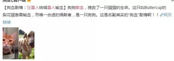 给宠物献血有什么好处,宠物献血的好处和坏处