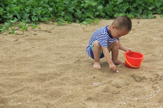 海边美食推荐旅游攻略,海边旅游美食风景攻略