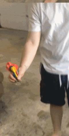 你看我们家的鹦鹉有多可怕,看看你家鹦鹉会享福的样子