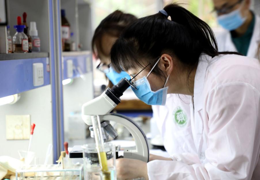 药科大学的就业方向和前景怎么样,江苏学校清华