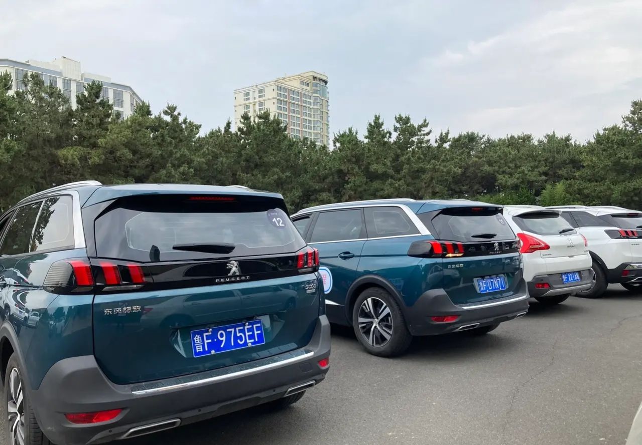 雪铁龙标致1.6T发动机有什么故障,标致雪铁龙ds1.6t发动机是否一样