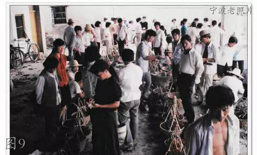 余姚市通济桥老照片,余姚通济桥老照片