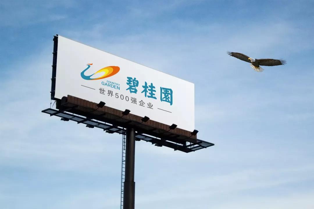 碧桂园城南之光有发展前景吗,碧桂园凤凰湾未来发展怎么样