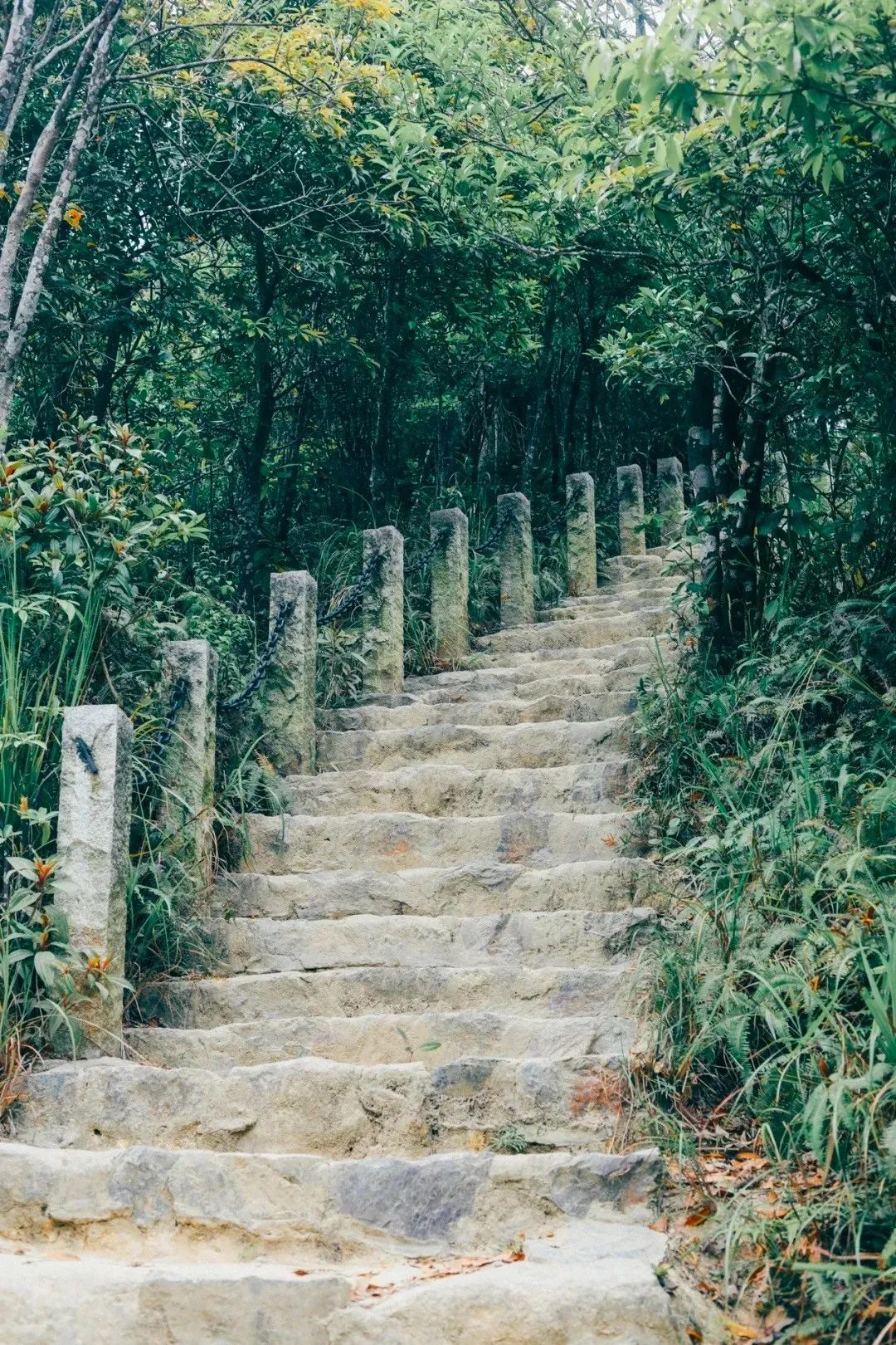 深圳值得打卡的建筑物,深圳最值得打卡的山