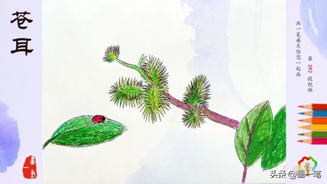 肉球人物彩铅画,彩铅手绘唯美仓鼠画