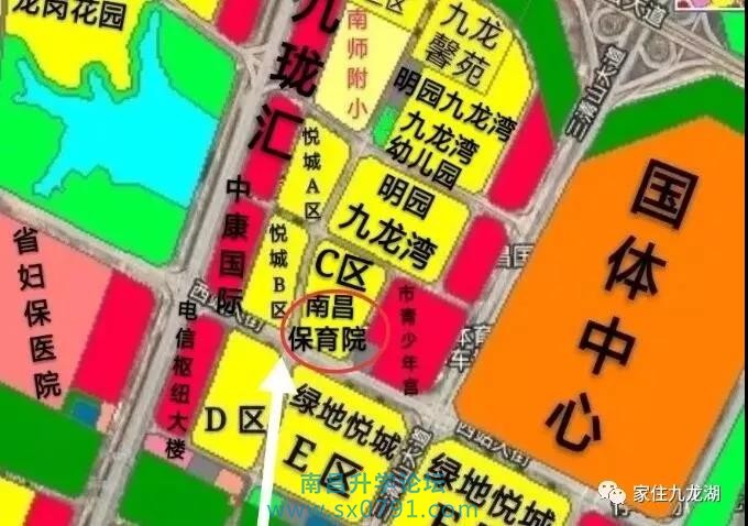 九龙湖幼儿园招生公告,九龙湖大地洵美幼儿园