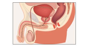 痛心两名学生抢救无效不幸身亡,痛心两男童不幸溺亡奶奶崩溃