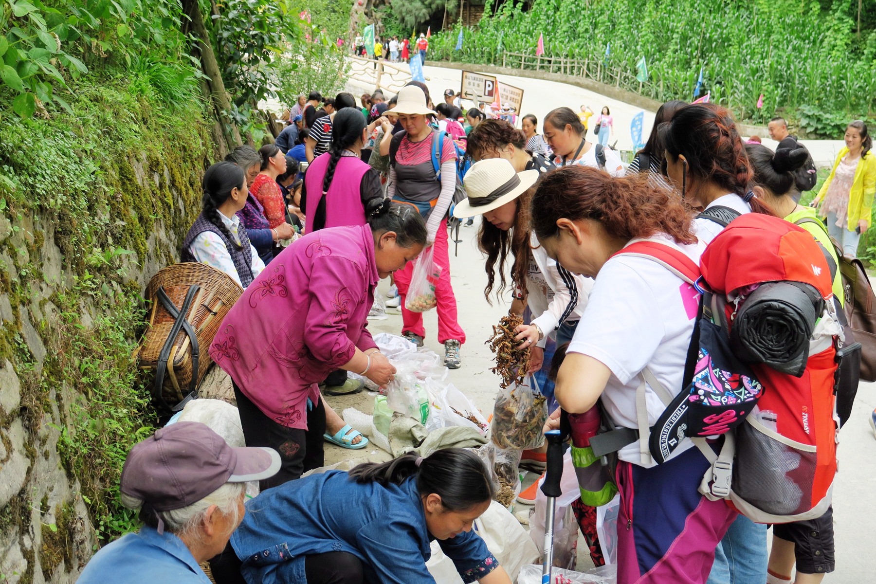 猴山飞瀑,猴山飞瀑旅游区地图