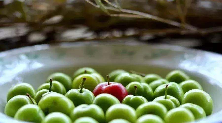 钟丽缇、叶一茜都在用，养好子宫，40岁的年纪20岁的脸