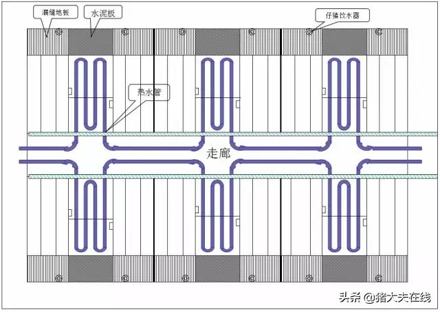 养猪猪舍设计建造,养猪最好的猪舍建造方法