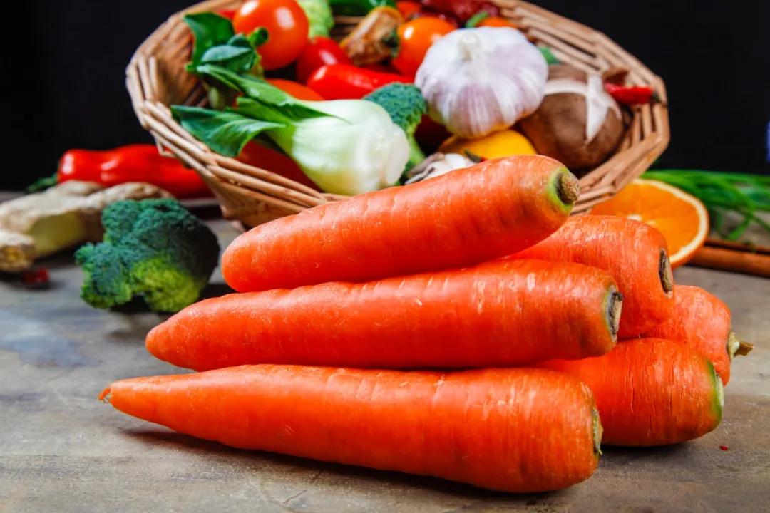 德牧胖一点还是瘦一些好,德牧很瘦吃什么调理