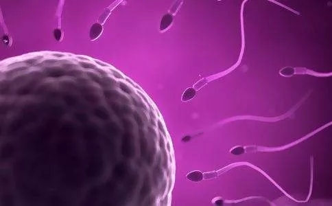 试管婴儿为什么还需要着床,试管婴儿为什么要做