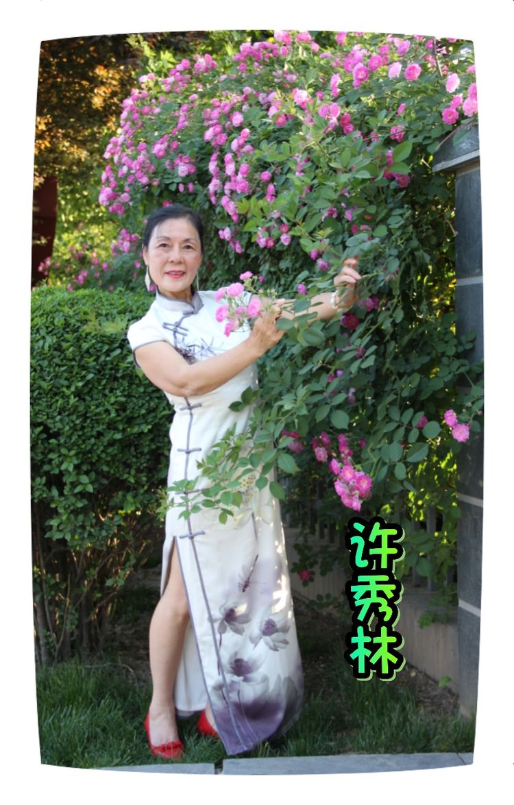 《我们永远是祖国的兵》（一）庆祝八一建军节93周年联欢晚会实况