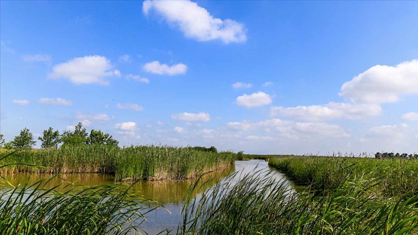 江苏省盐城市有哪些县和区,浅谈全国各省份