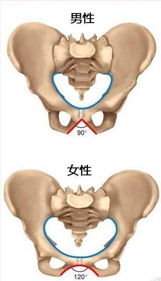 如何瘦腿和瘦屁股,减肥操瘦腿臀部完整版30分钟暴汗