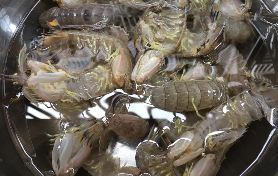 吃皮皮虾的正确吃法,吃皮皮虾说没有处理干净