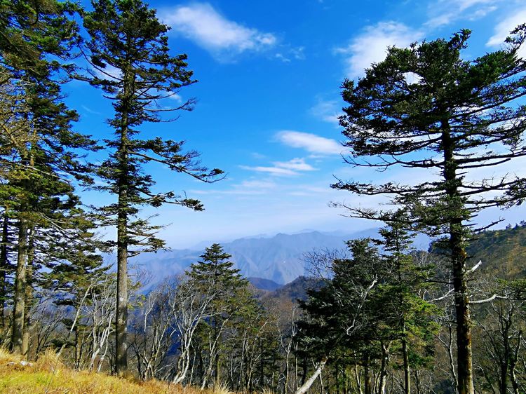 20201101惊悚之行~首阳山大坪梁单日横穿+原返
