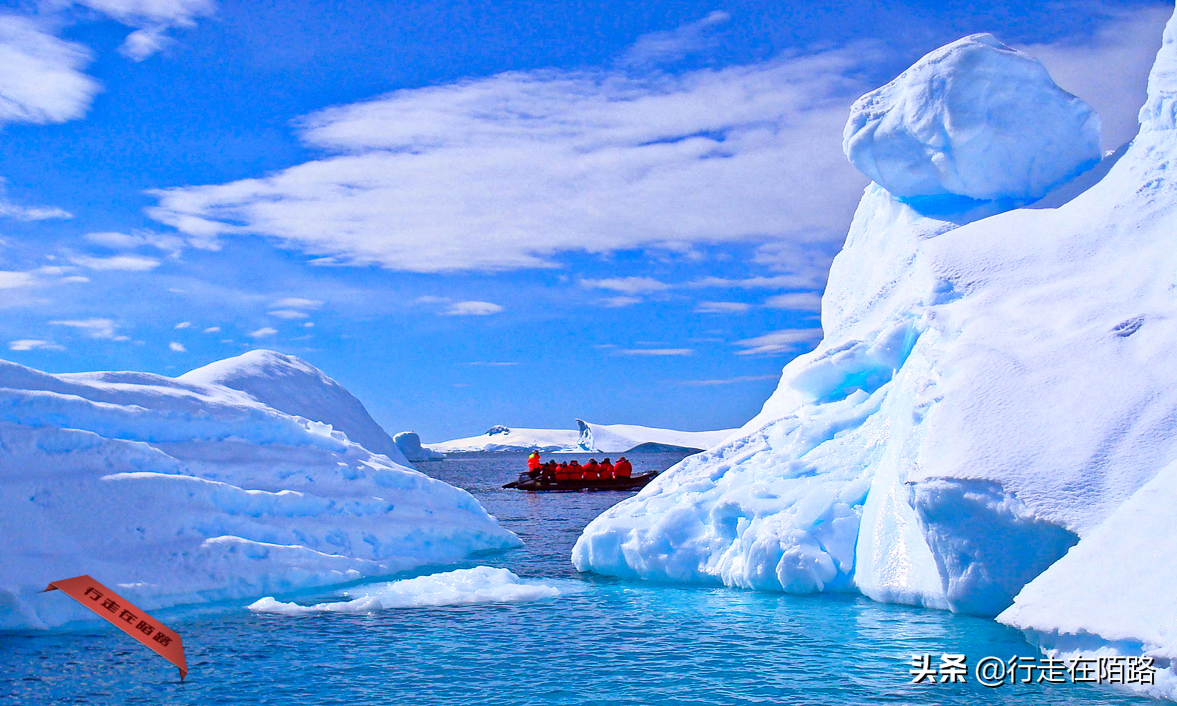 铲屎官招聘,邮局招聘吗