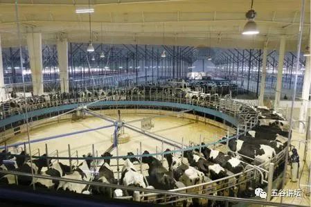 君乐宝奶粉销量110亿,君乐宝奶粉新上市