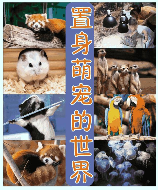 南阳市动物王国门票,南阳市动物主题公园