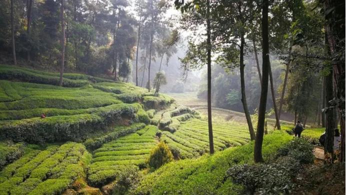 519中国旅游日免费景点,519中国旅游日活动总结