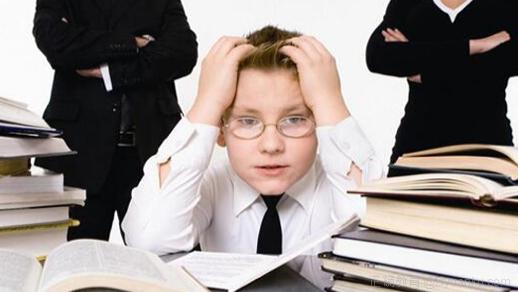 脑神经专家课程,脑神经科学与教育