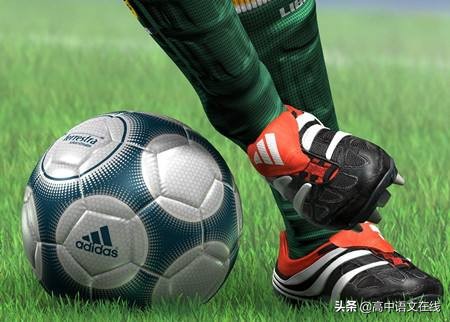 体育单招高水平特长生的区别,贵阳市2019年体育特长生招生名额