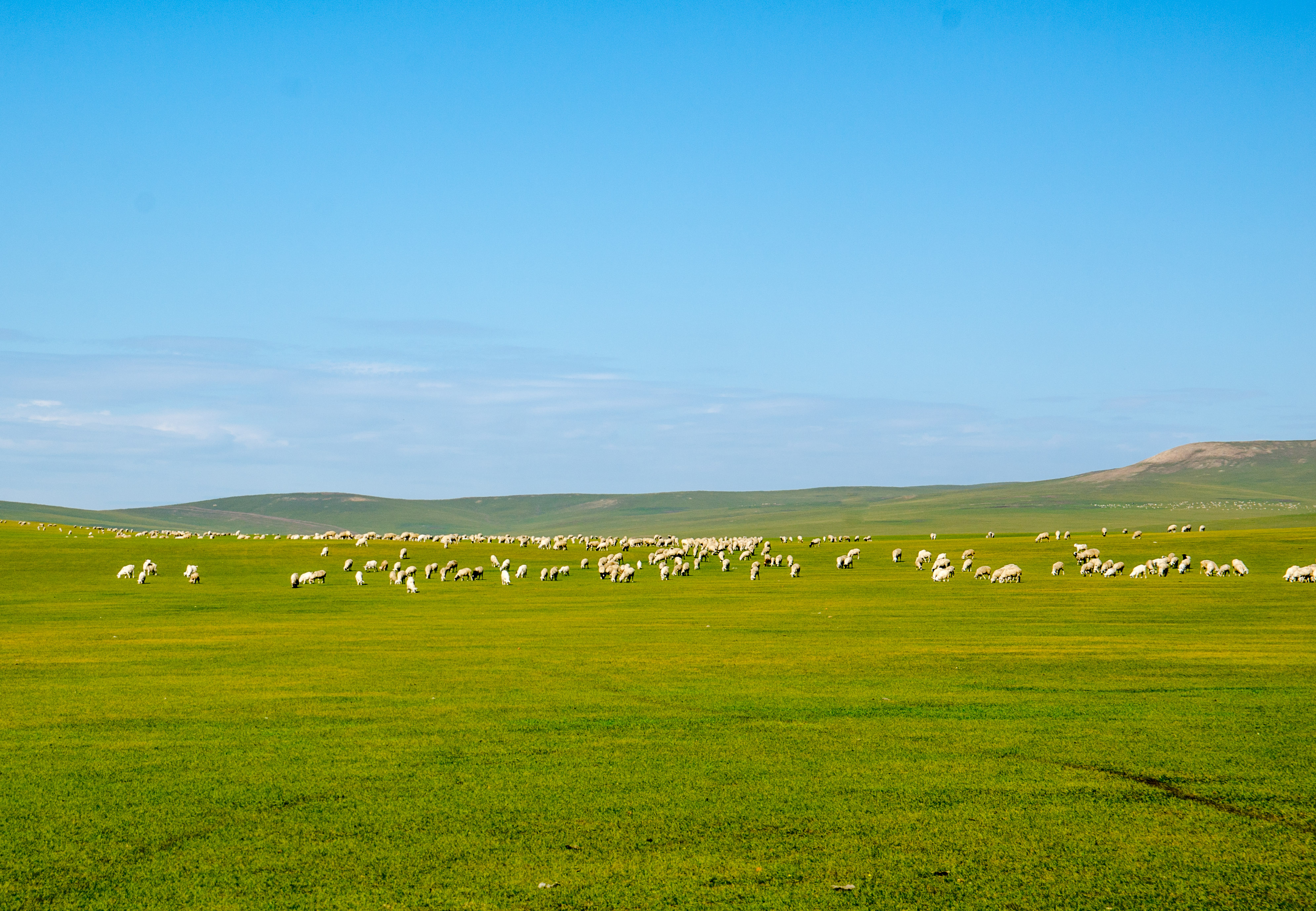 中国最高级的火车一张票多少钱,中国最顶级的火车票价为6000元