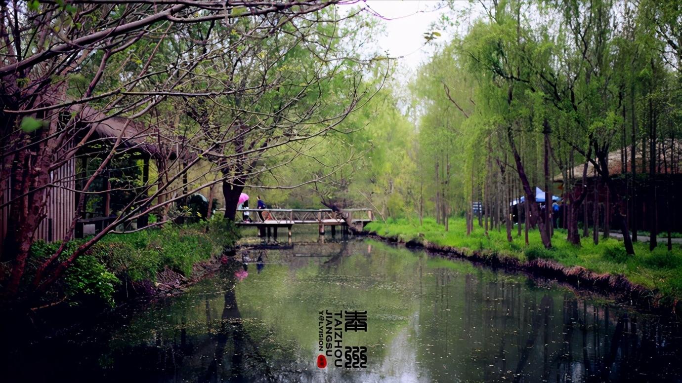 江苏省泰州市区域划分图,江苏泰州市属于华南还是华东