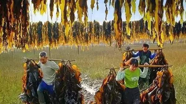 这就是福建,罗源一个正在崛起的城市