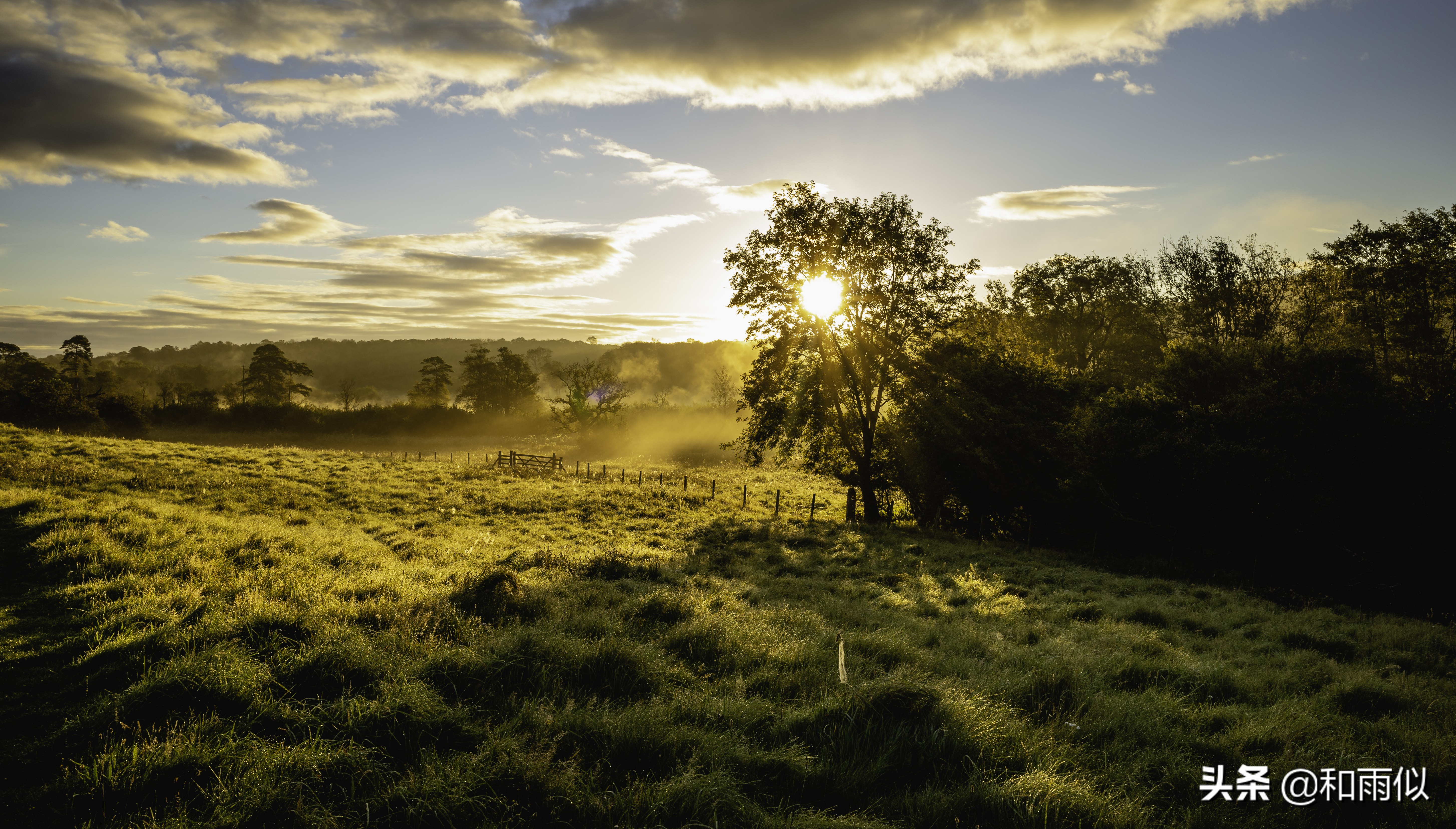 所有人都在为钱而发愁,每个人都为钱财发愁