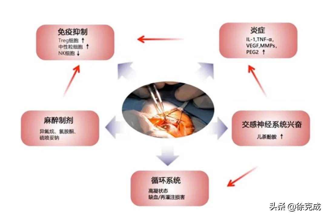 癌症的治疗与预防讲座的心得体会,癌症治疗的最终走向
